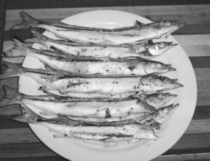 If you want to cook garfish the Italian way simply brush your fillets with a little olive oil, some sea-salt and pepper and add a squeeze of lemon or lime.